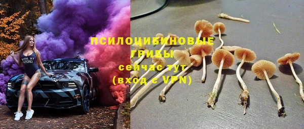 крисы Алексеевка