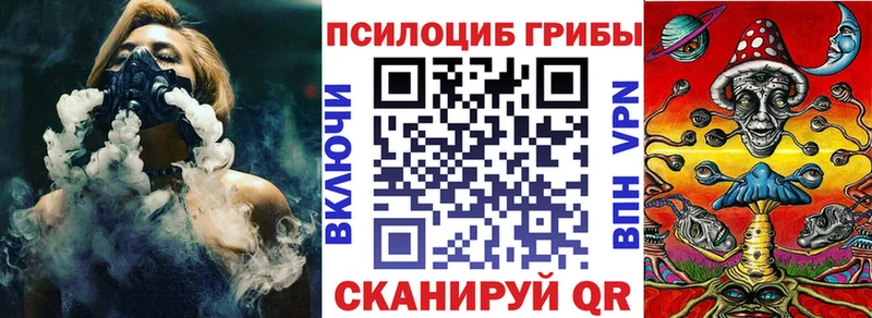 Псилоцибиновые грибы Psilocybine cubensis  Ирбит 