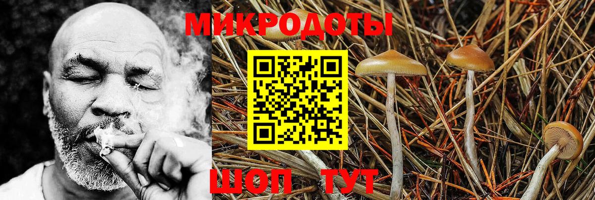 Галлюциногенные грибы Magic Shrooms Ирбит