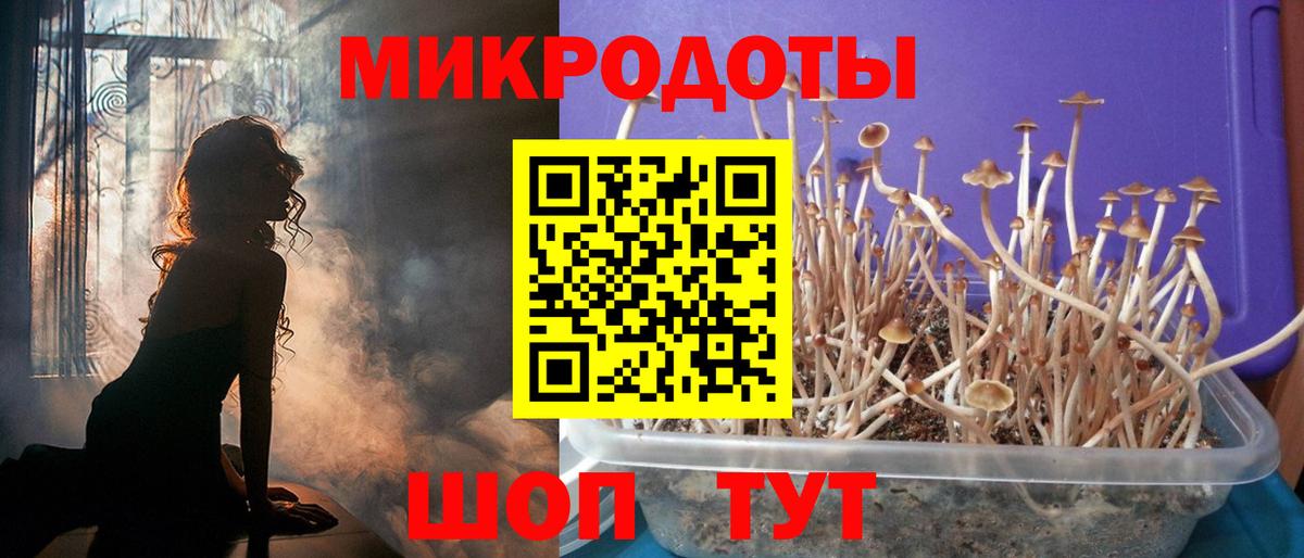 Псилоцибиновые грибы Cubensis  Псилоцибиновые грибы прущие грибы  Ирбит  Вход с VPN 